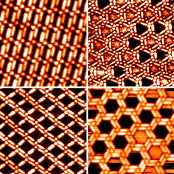 Scanning tunneling microscopy images showing various TMA–BPBP networks