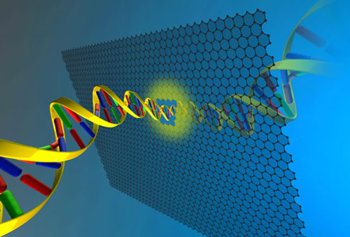 a long DNA molecule can be pulled through a graphene nanopore
