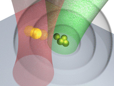 Trapped gold nanoparticle
acts as nanoear