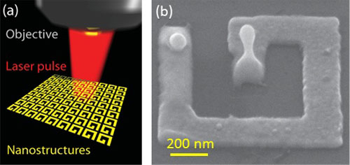  gold nano-droplet has been melted by the laser pulse