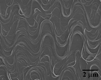 buckled nanotubes look like squiggly lines on a flat surface