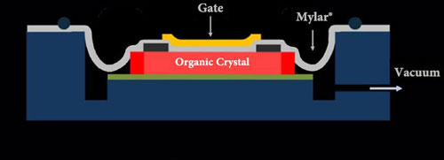 Cross-section of organic transistor with vacuum-applied polymer insulator
