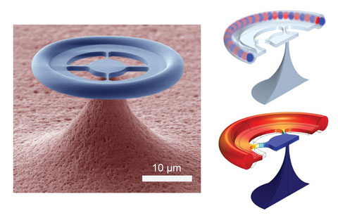 glass donut for quantum optics