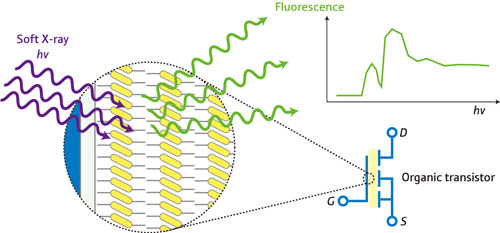  A schematic of fluorescence yield x-ray absorption spectroscopy