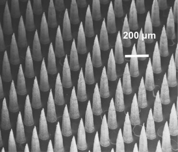 dense arrays of tiny semiconductor tips