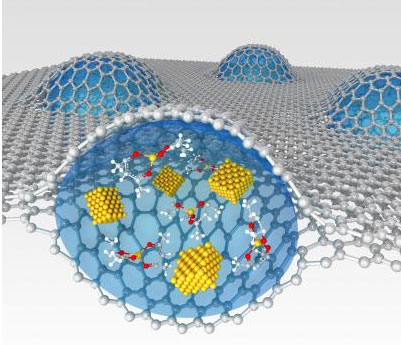 Sandwiched two sheets of graphene encapsulate a platinum growth solution