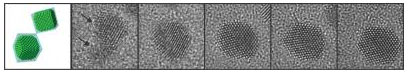 TEM images of platinum nanocrystal coalescence and their fecating in the growth solution