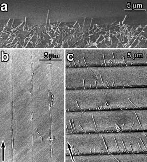 Controlled deposition of nanotubes