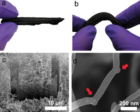 A carbon nanotube sponge holds potential as an aid for oil spill cleanup. 