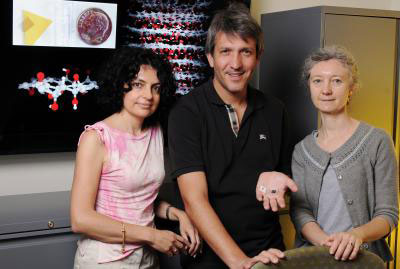 Elisa Riedo, Angelo Bongiorno and Claire Berger, Georgia Tech