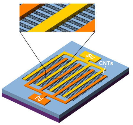 single-walled carbon nanotube photodetector