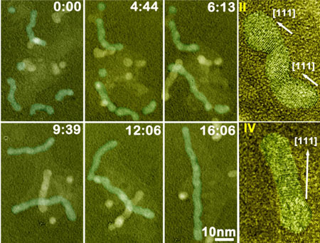 Sequential color TEM images showing the growth of Pt3Fe nanorods over time