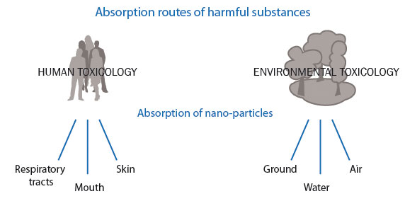 Absorption routes of harmful substances