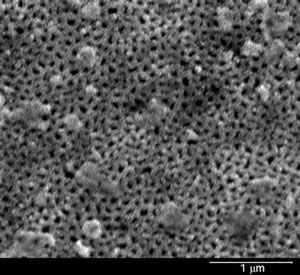 SEM image of AAO membrane coated with tungsten followed by UNCD exhibits 30-to 50-nm pore diameter