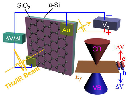 voltage applied to a sheet of graphene on a silicon-based substrate can turn it into a shutter for both terahertz and infrared wavelengths of light