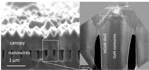 Cross-sectional images of a indium gallium nitride nanowire solar cell