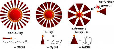 Ligand Bulk and Nanoparticle Size