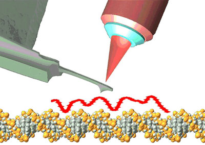 A miniaturised cantilever tracing the contours of the DNA double helix, with its deflection detected by laser optics
