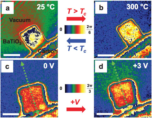 Direct polarization images of individual ferroelectric nano cubes captured with electron holography
