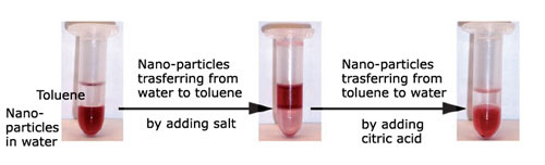Colored nanoparticles of gold in a water solution
