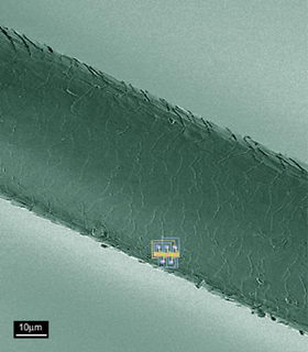 single nanotube ring oscillator circuit and a human hair