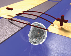A microfluidic device applying an electric pulse to a single cell