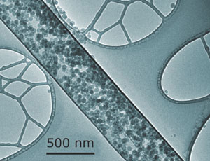 Capped nanotubes