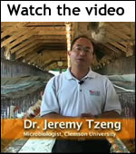nanoparticle chicken feed video