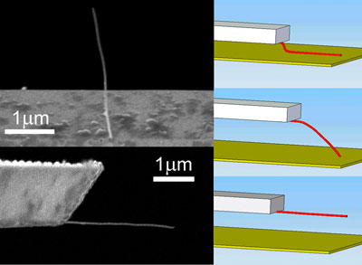 Nanotube attached to a microcantilever