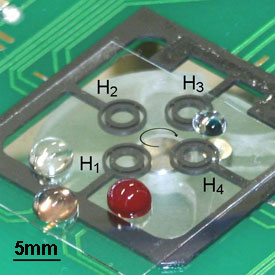 Integrated lab-on-a-chip that can perform DNA analysis on whole blood samples