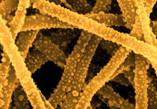 Nylon nanofibers coated with metal nanoparticles