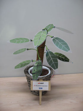 prototype of a foliage plant-like solar cell module
