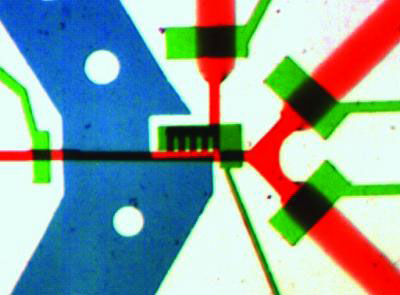 image of the microchip filled with dye