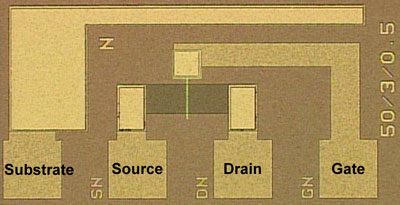 FeFET for Fe-NAND flash memory