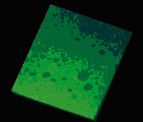Cross-section of a dense emulsion, made up of numerous oil droplets of various sizes