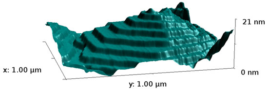 >Scanning force microscopy scan of a terraced mound of upright organic molecules
