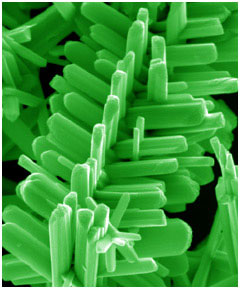 branched nanorods