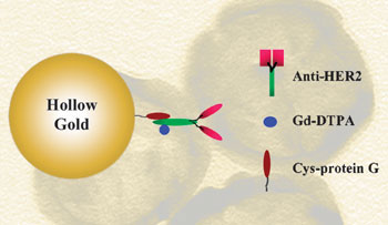 The modified gold nanoparticles seek out and destroy cancer cells