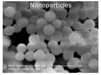 Borosilicate glass nanoparticles