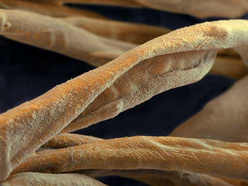 Nanotechnology makes textile fibers dirt-repellent