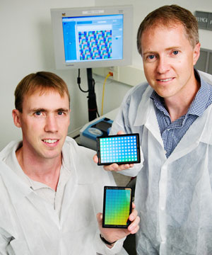 Paul Hergenrother, left, professor of chemistry, and Brian Cunningham, professor of electrical and computer engineering, hold biosensors they've developed that are capable of detecting protein-DNA interactions