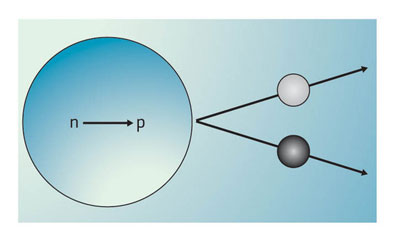 In nuclear beta decay, a neutron emits an electron and a massless particle called a neutrino