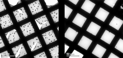 Transmission Electron Microscopy results for polymer/PCBM 1:1 active layers after degradation at 100 C for 2 hours