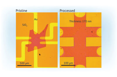 Images of the device investigated. The left panel shows a κ-Br single crystal film deposited on a SiO2/Si substrate with pre-patterned gold contacts. The right panel shows the same device after a pulsed laser has been used to shape the κ-Br crystal into a more regular geometry.