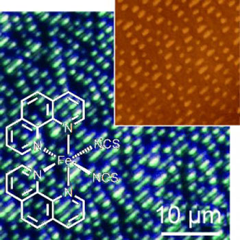This spin-transition compound can be nanopatterned by unconventional and soft lithography to give crystalline, well-oriented, micrometer-scale structures arranged in stripes on a silica surface, as revealed by optical and scanning force microscopy