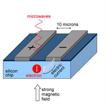 Microwaves are used to control the spin state of electrons held in silicon.
