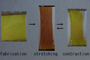 Chromism of Polymer 1 thin film before and after stretching