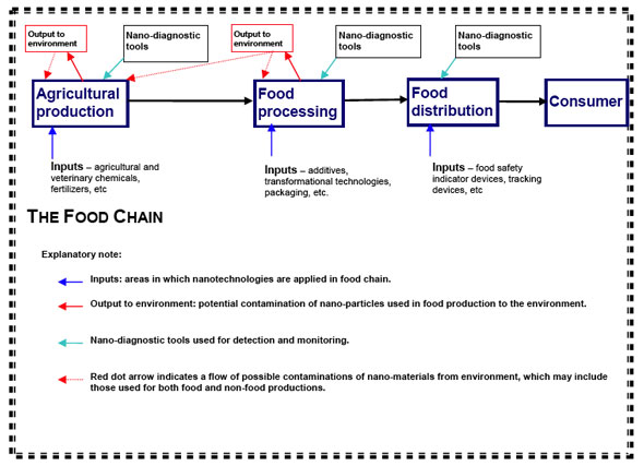 Diagram on potential applications of nanotechnologies through a food chain from primary food production to consumption, which may require considerations on food safety aspects aimed at protecting the health of consumers