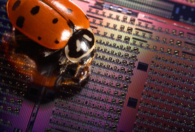 A ladybug crawls across an experimental Avalanche Photodetector chip containing silicon optical devices that are only a fraction of a millimeter