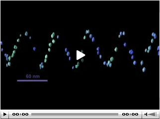Golden 3-D DNA Nanotubes